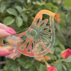 transparent bird