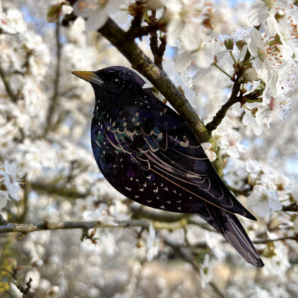 Painted bird - ornament