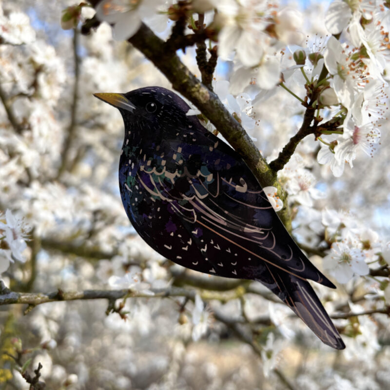 Painted bird - ornament
