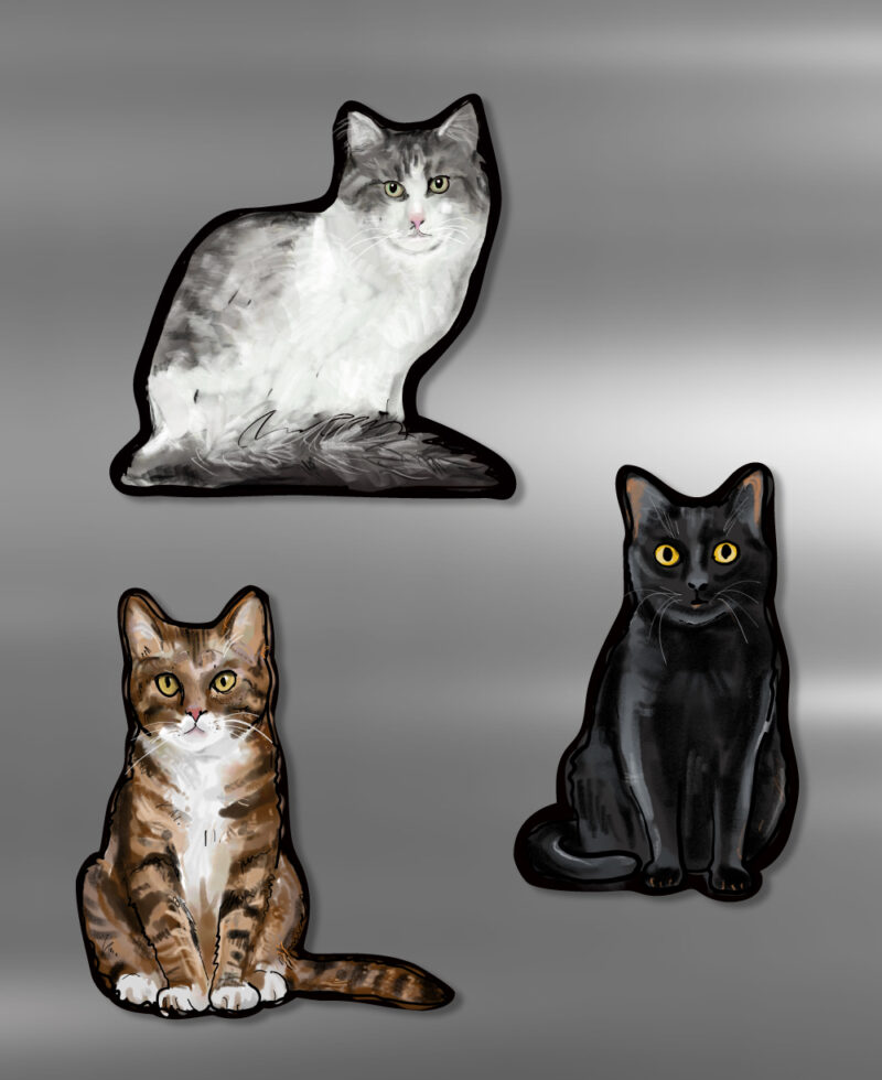 cat - fridge magnet